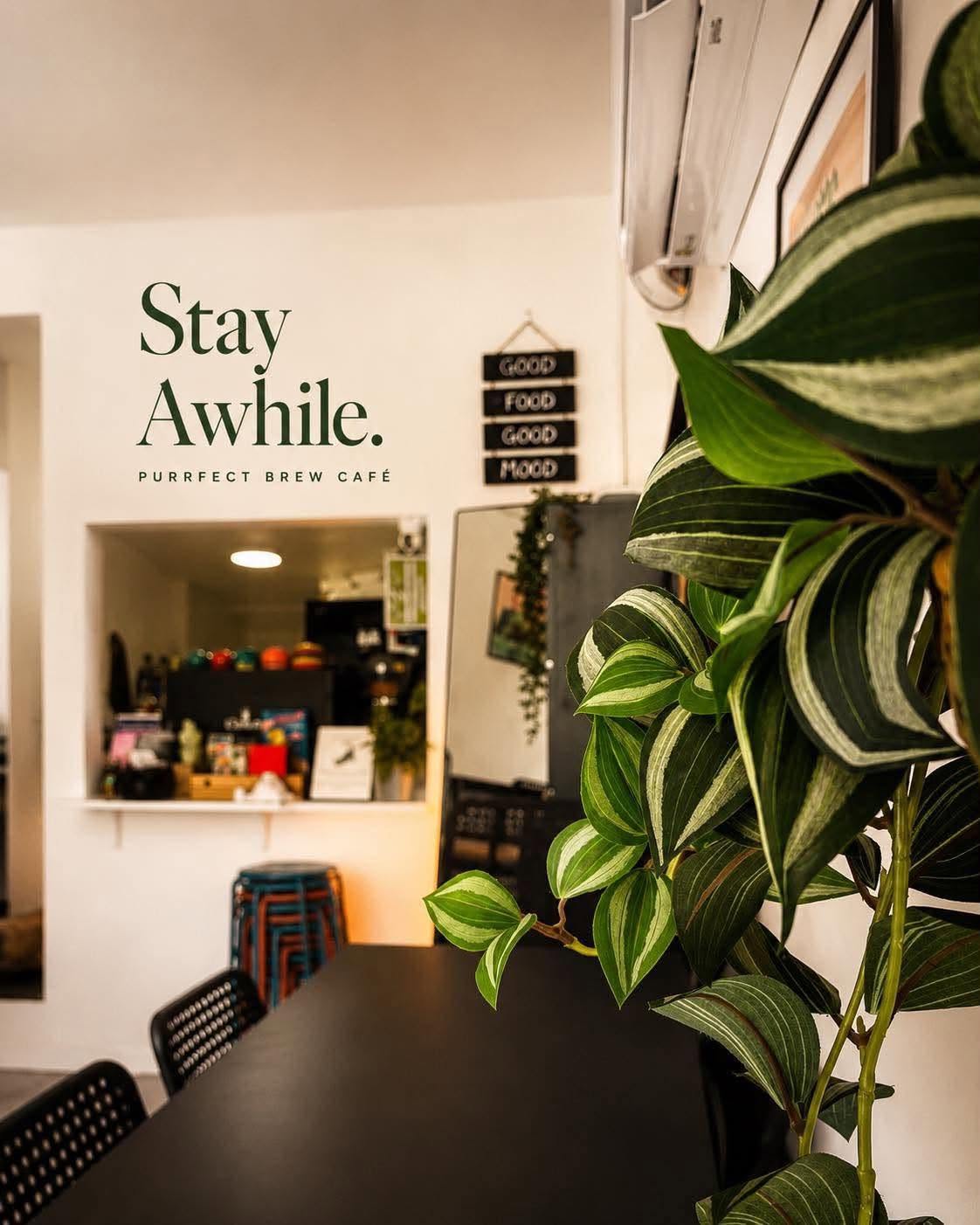 Plant-lined seating and a view of the café counter, with “Stay Awhile” lettering.